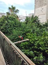 Villa indipendente al primo piano