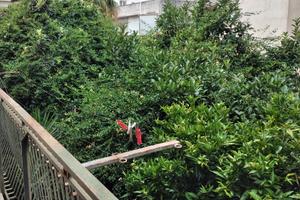 Villa indipendente al primo piano