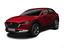 Immagine 6