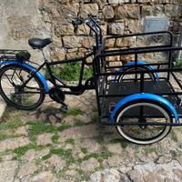 E-BIKE CARGO NUOVA