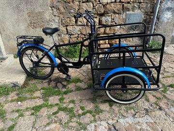 E-BIKE CARGO NUOVA