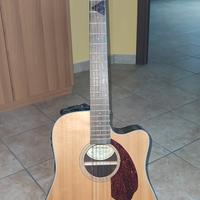 Fender 12 Corde con custodia rigida