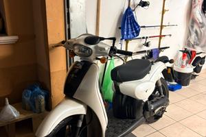 Scarabeo 50