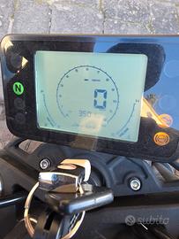 BENELLI LEONCINO 250