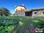 Immagine 9