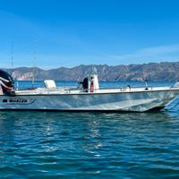 Boston Whaler 17 con carrello e motore di prua gps