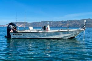 Boston Whaler 17 con carrello e motore di prua gps