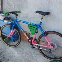 bicicletta di tutti giorni 