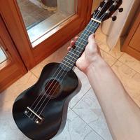 ukulele martin smith mai usato 