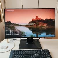 Monitor ASUS PB247 24 pollici