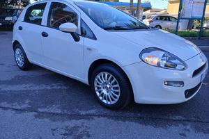 Fiat Punto 5 Porte 1.2 Street *NEOPATENTATI*