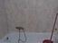 Immagine 7