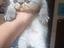 Immagine 4