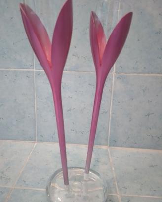 Bicchieri Flut Moet & Chandon modello Tulip