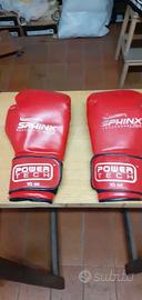 Guantoni da box per allenamento marca Sphinx.