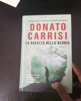 libro la ragazza nella nebbia 