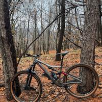orbea