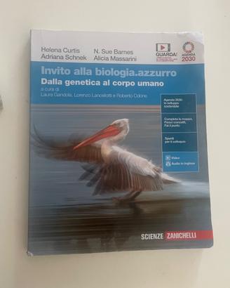 libri scolastici