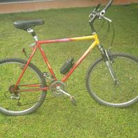 Bici Mountainbike