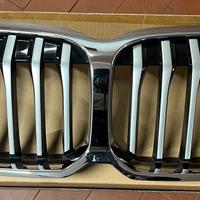 Griglia Mascherina Bmw
