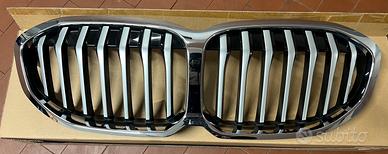 Griglia Mascherina Bmw