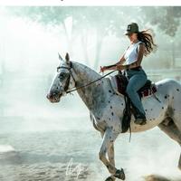 Cavallo