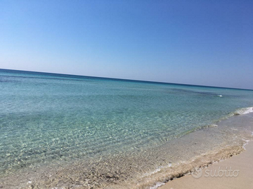 Prenotazione estate 2026