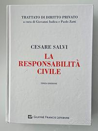 LA RESPONSABILITÀ CIVILE Cesare Salvi 