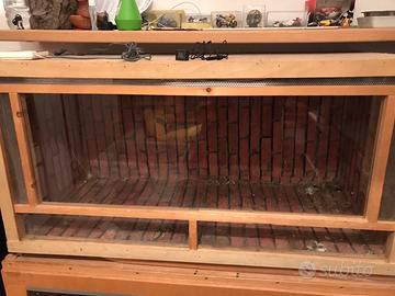 Teca terrario