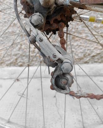 Bicicletta Galletti