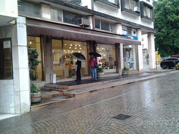 Negozio centro belluno