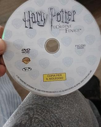 dvd harry poter e lordine della fenice