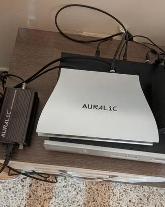 auralic aries 