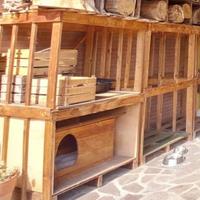 Legnaia da esterno in legno – Robusta e funzionale