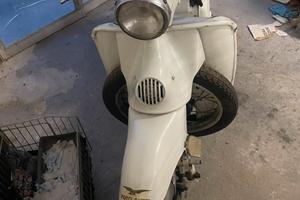 Guzzi galletto 192