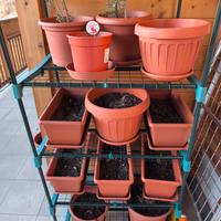 Vasi plastica + terra + serra 