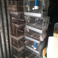 gabbiette  piccole zincate 