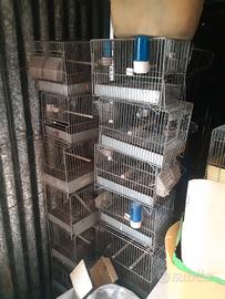 gabbiette  piccole zincate 