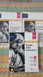 il bello della letteratura 3