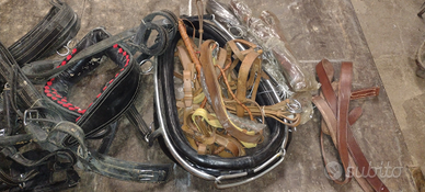 Allestimento x cavalli