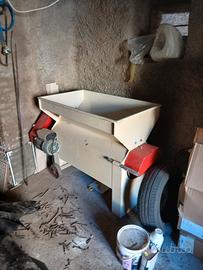 Pigiatricederaspatrice per uva