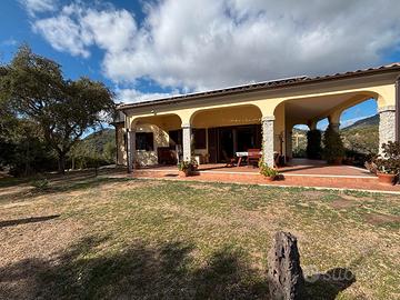 Esclusiva Villa con Uliveto