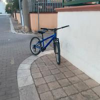 Bicicletta mountain bike