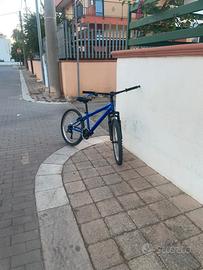Bicicletta mountain bike