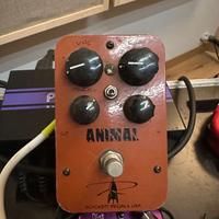 Rockett Animal