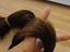 Immagine 6