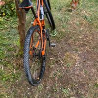 mountain bike