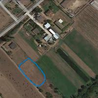 Terreno agricolo (Terracina)