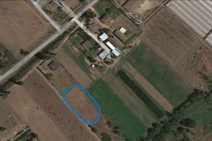 Terreno agricolo (Terracina)