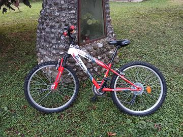 Mountain bike 